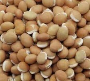 Nandi Hyacinth Bean / Dry Avarekalu