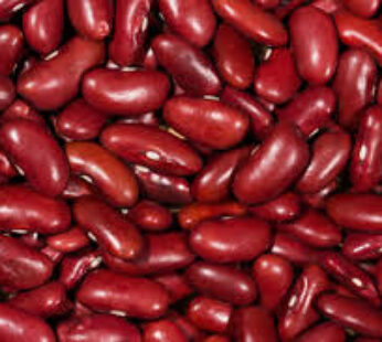Nandi Red Rajma
