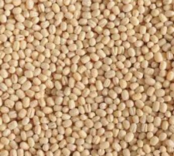 Nandi Urad dal Whole