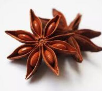Nandi Star Anise